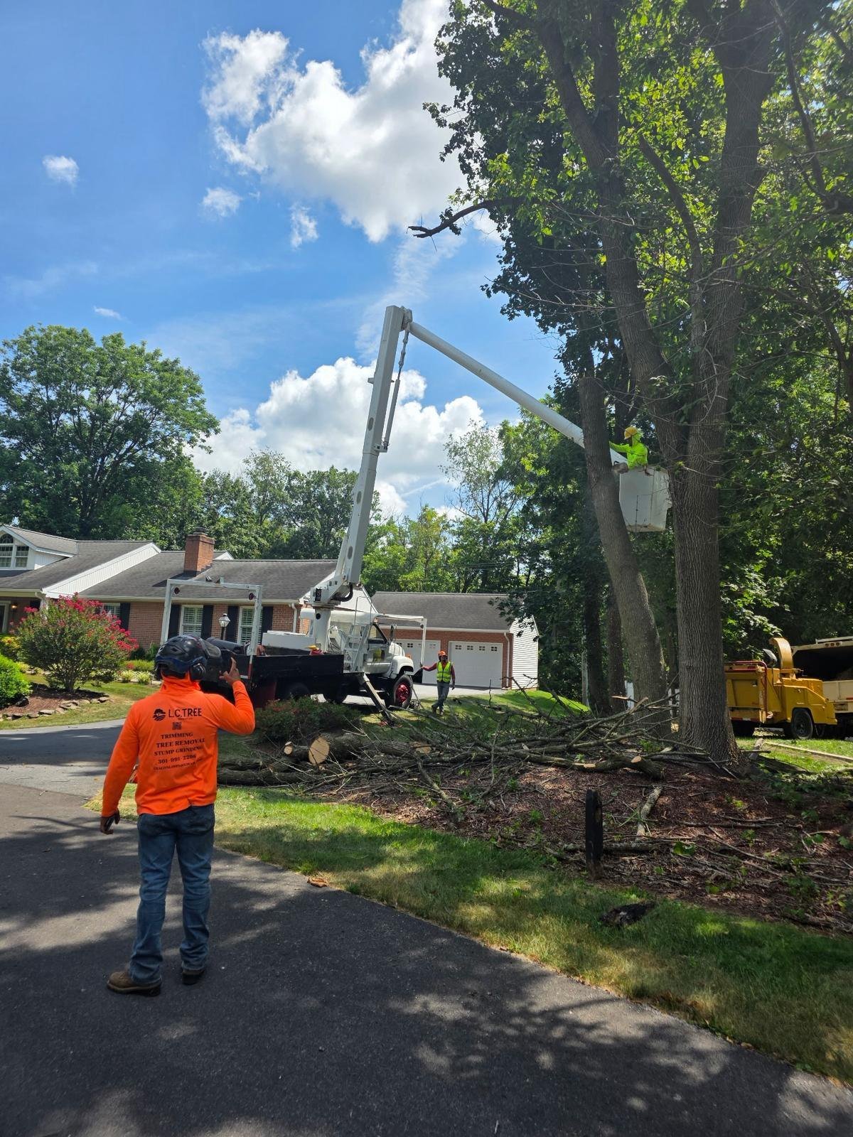 L.C Tree Services crew and tree care project