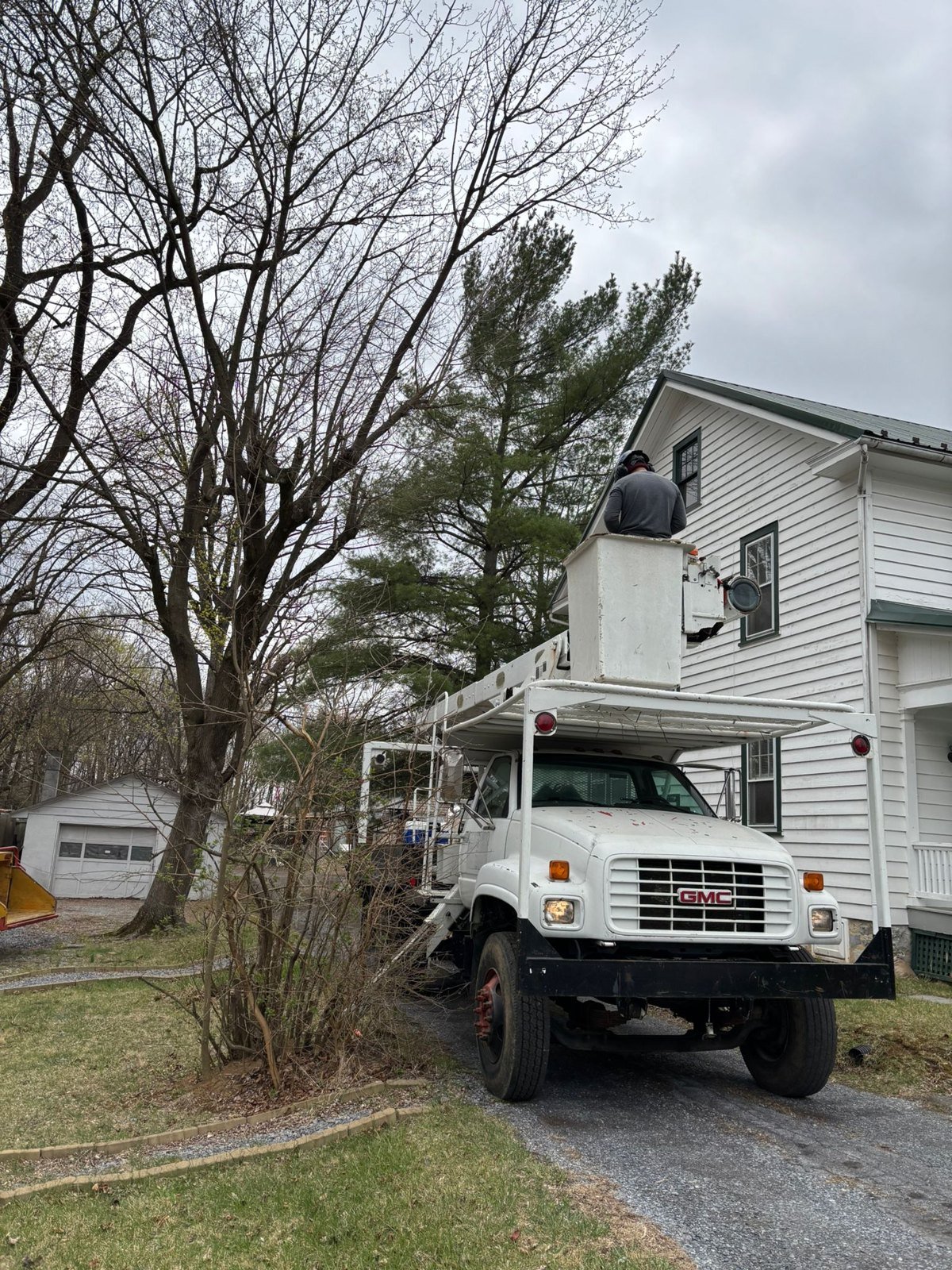 L.C Tree Services crew and tree care project