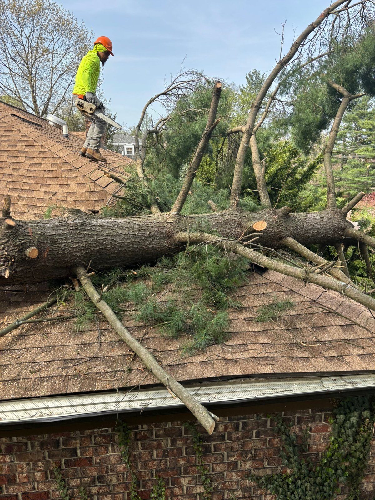 Stone Removal: L.C Tree Services project