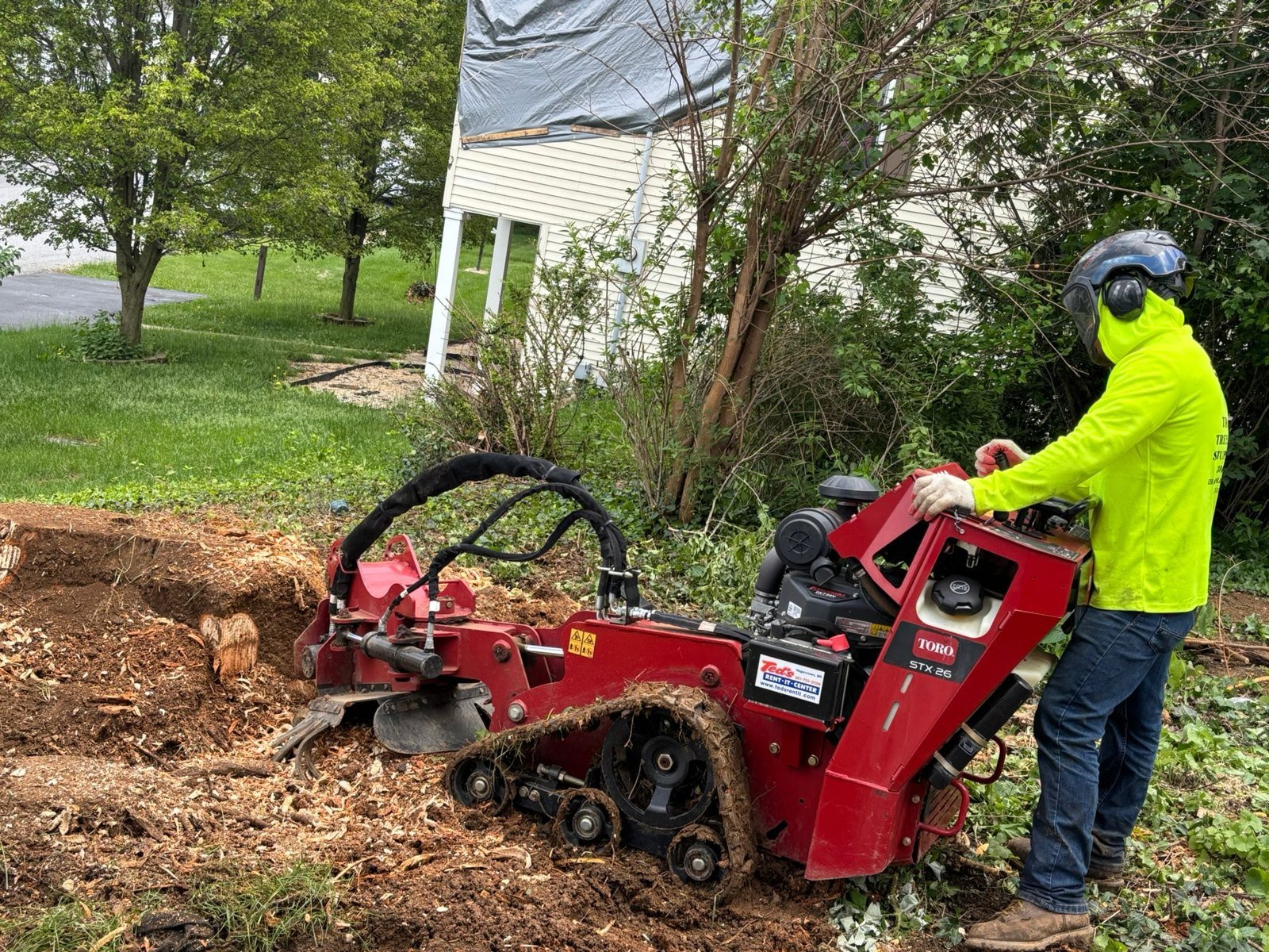 Tree Stump Grinding: L.C Tree Services project