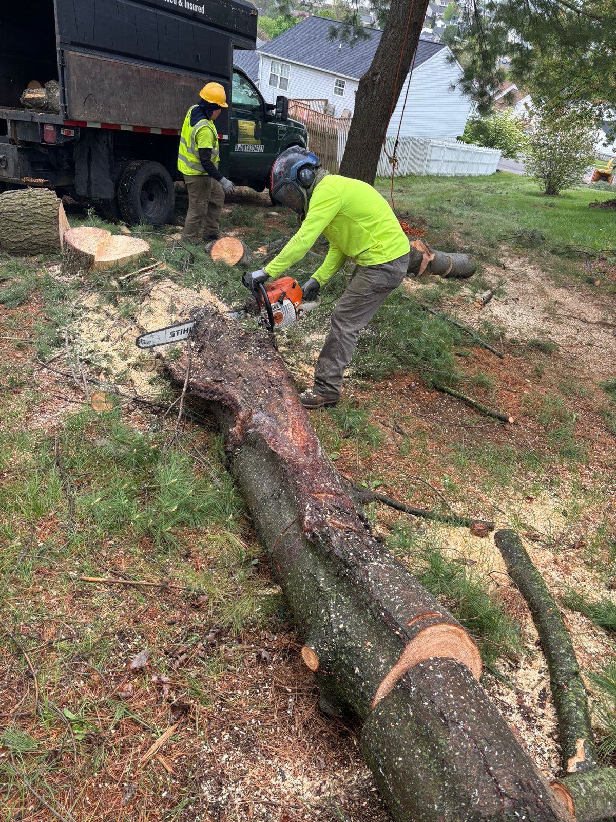 Yard Cleaning: L.C Tree Services project