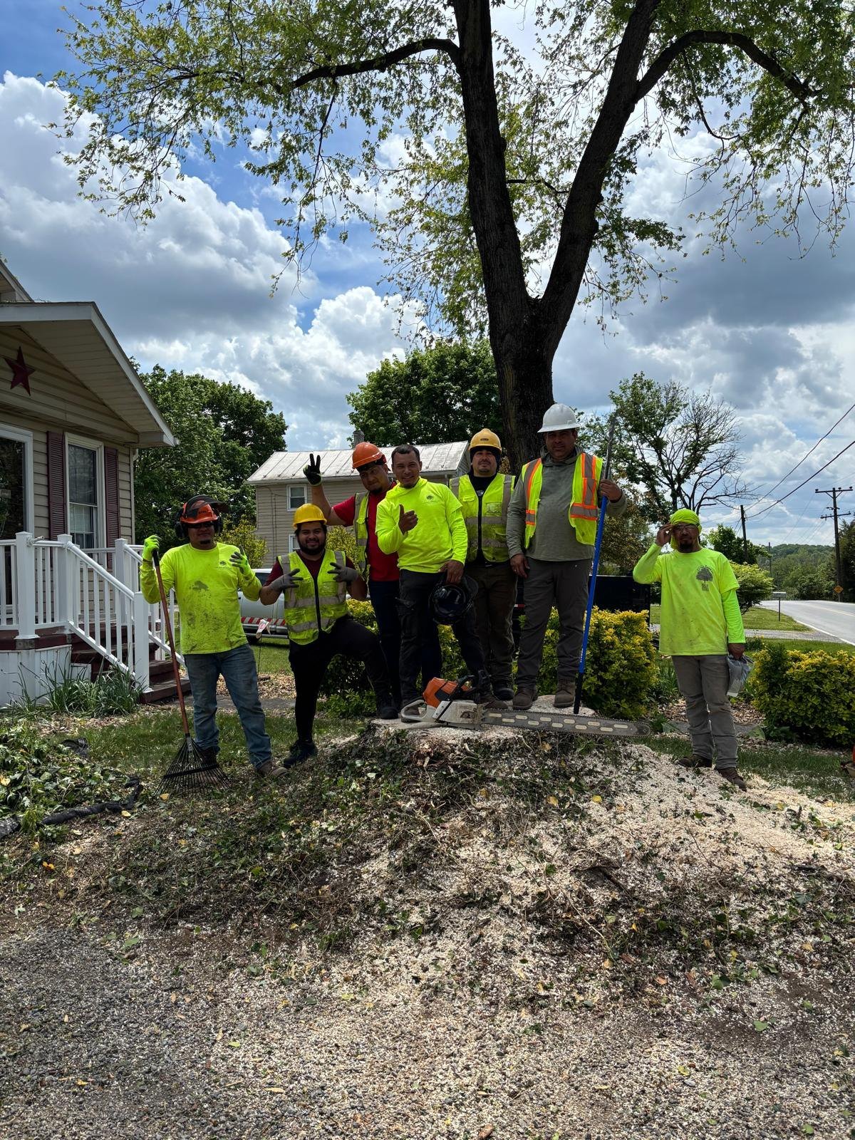 Luis Chacon and the L.C Tree Services team