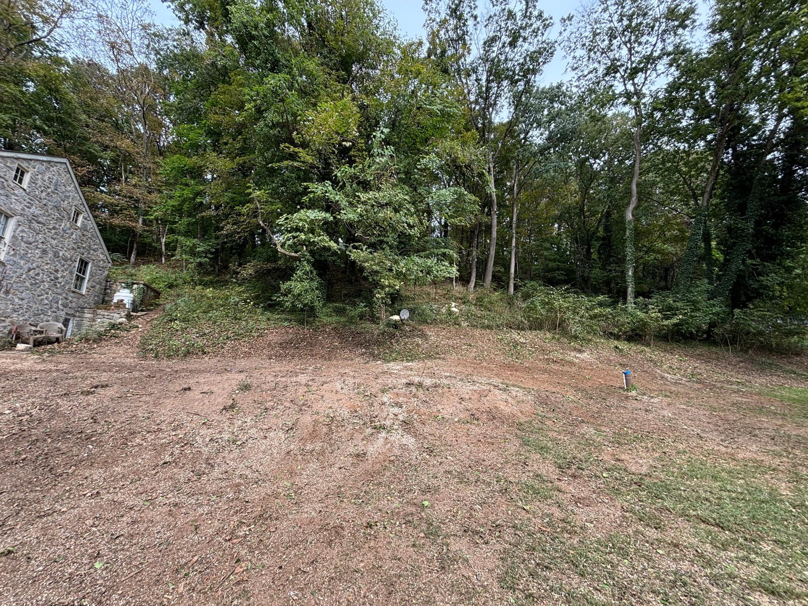 L.C Tree Services crew and tree care project