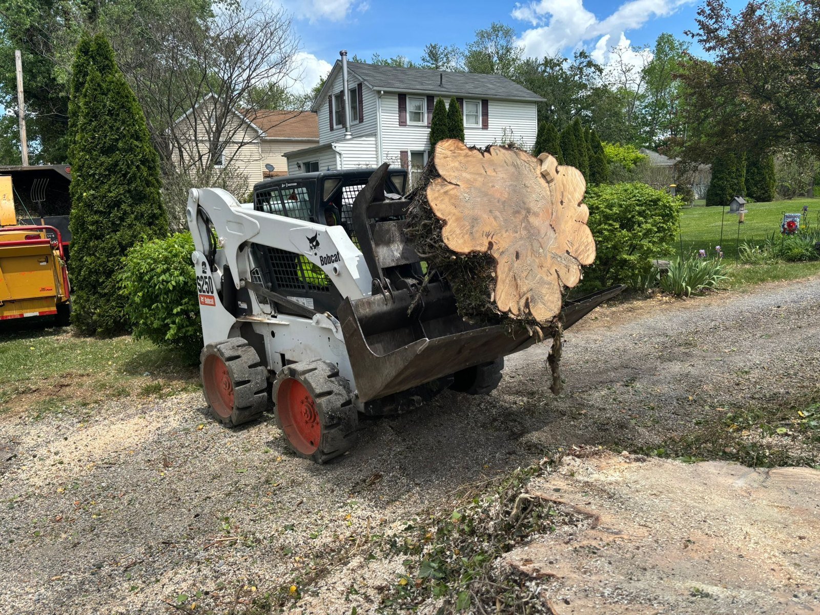 L.C Tree Services crew and tree care project