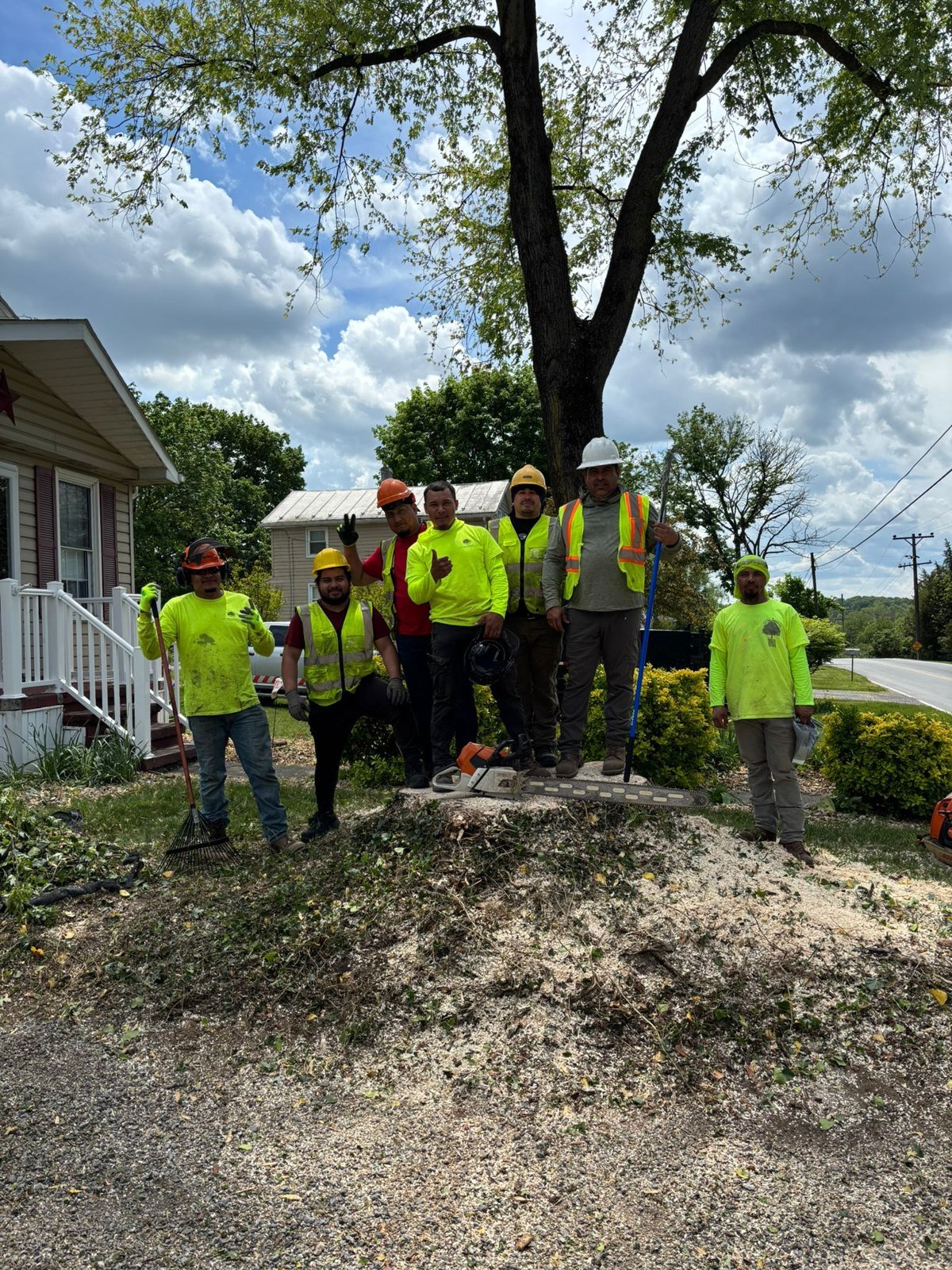 L.C Tree Services crew working on a tree project