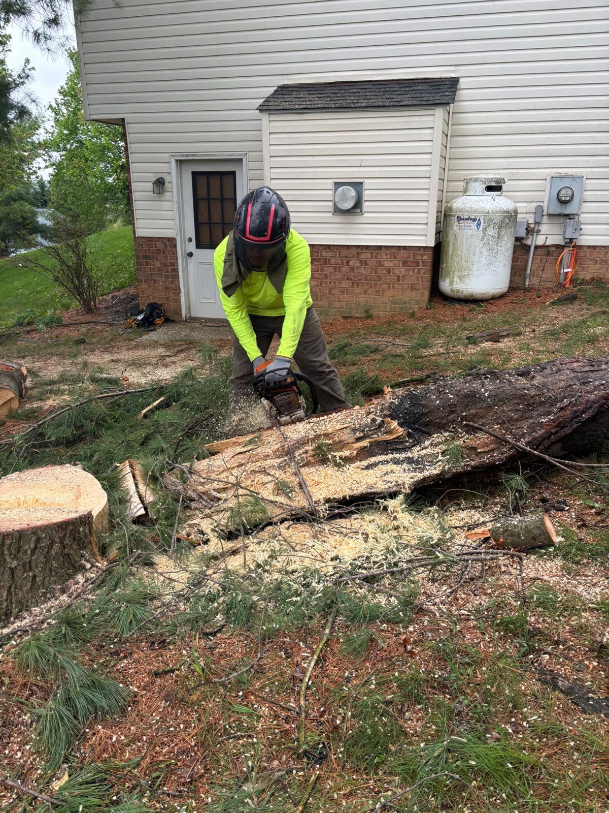 L.C Tree Services crew and tree care project